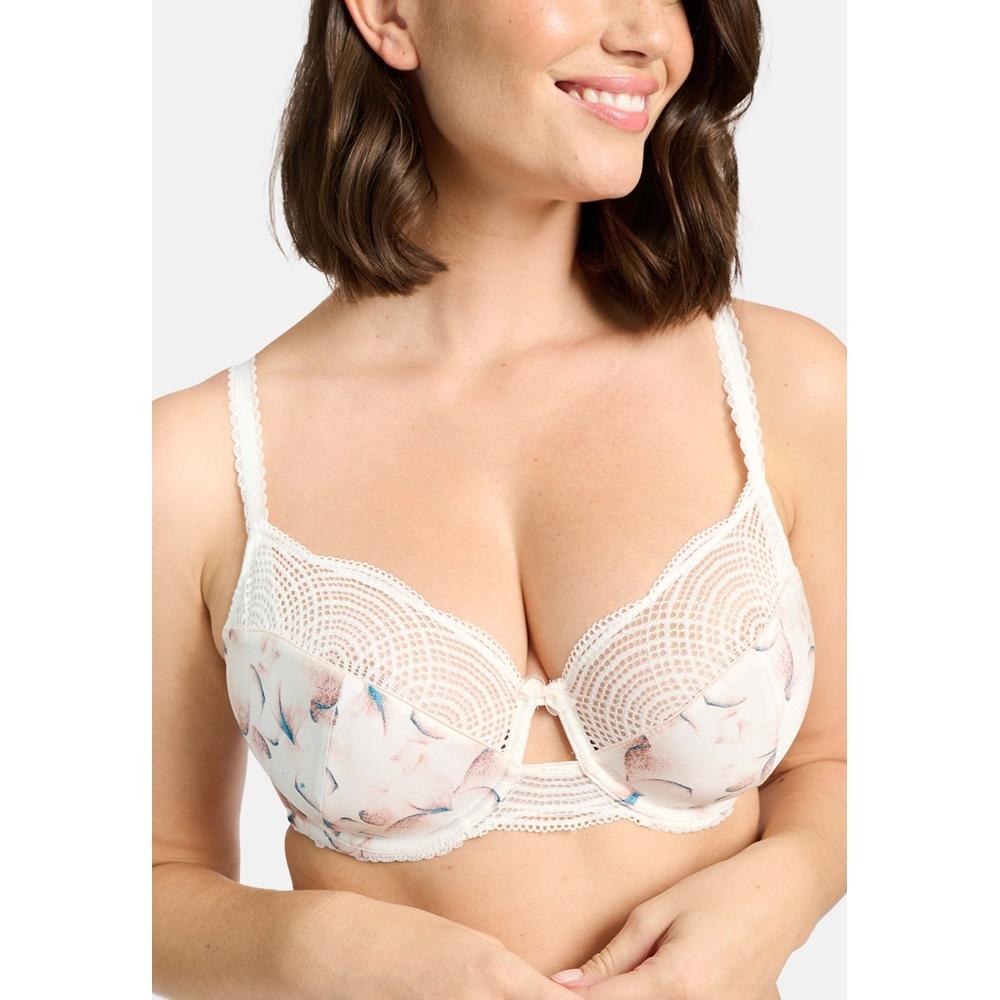 daphne_70aai31_imt_8_scaled.jpg